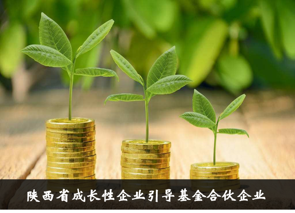 陕西省成长性企业引导基金合伙企业（有限合伙）